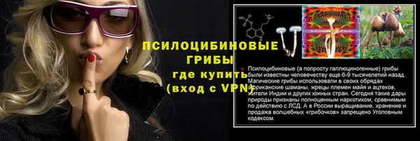 хмурый Арсеньев