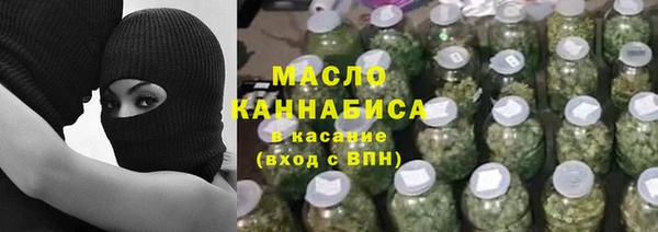 хмурый Арсеньев