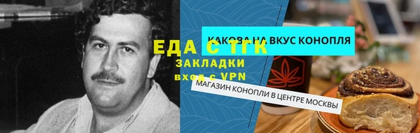 хмурый Арсеньев
