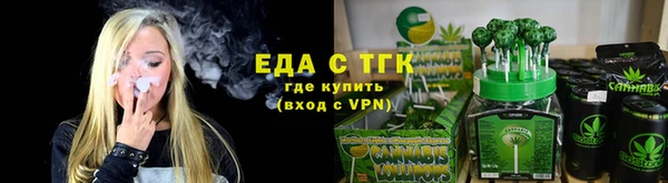 хмурый Арсеньев