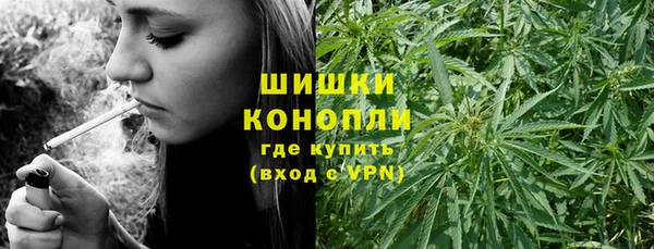 хмурый Арсеньев