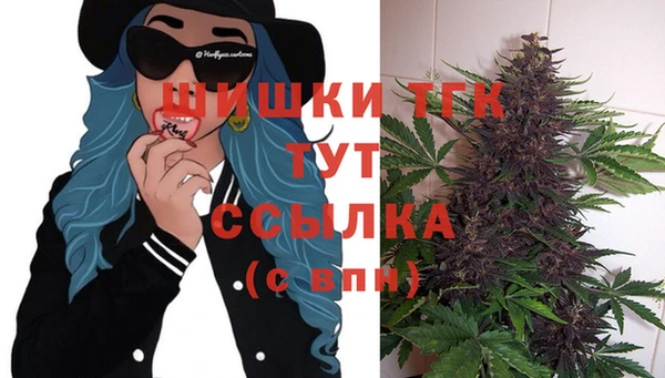хмурый Арсеньев