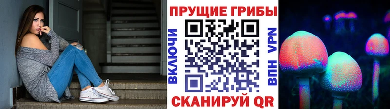 Галлюциногенные грибы Psilocybine cubensis  хочу   Валдай 